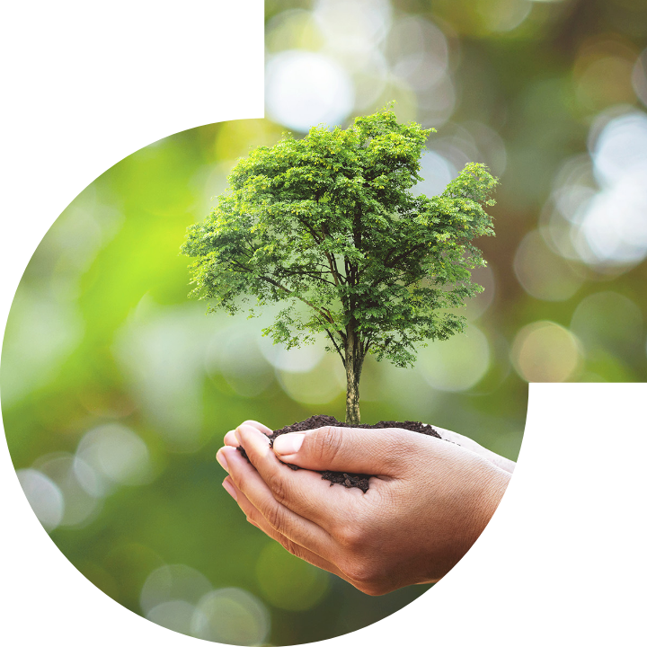 關懷人類、文化、環境與社會